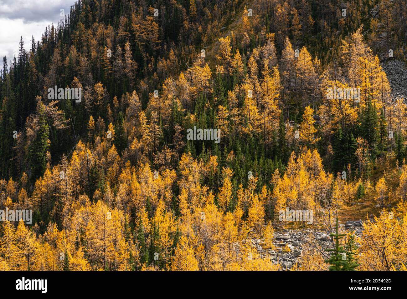Shades of Autumn in Paradise Valley Lake Louise Stock Photo