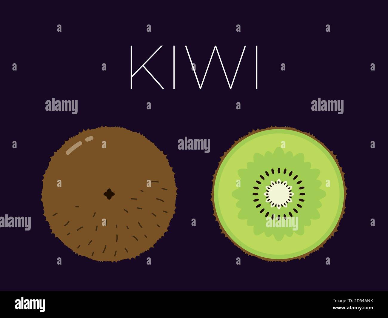 Vector of kiwi and sliced half of kiwi on dark background Stock Vector