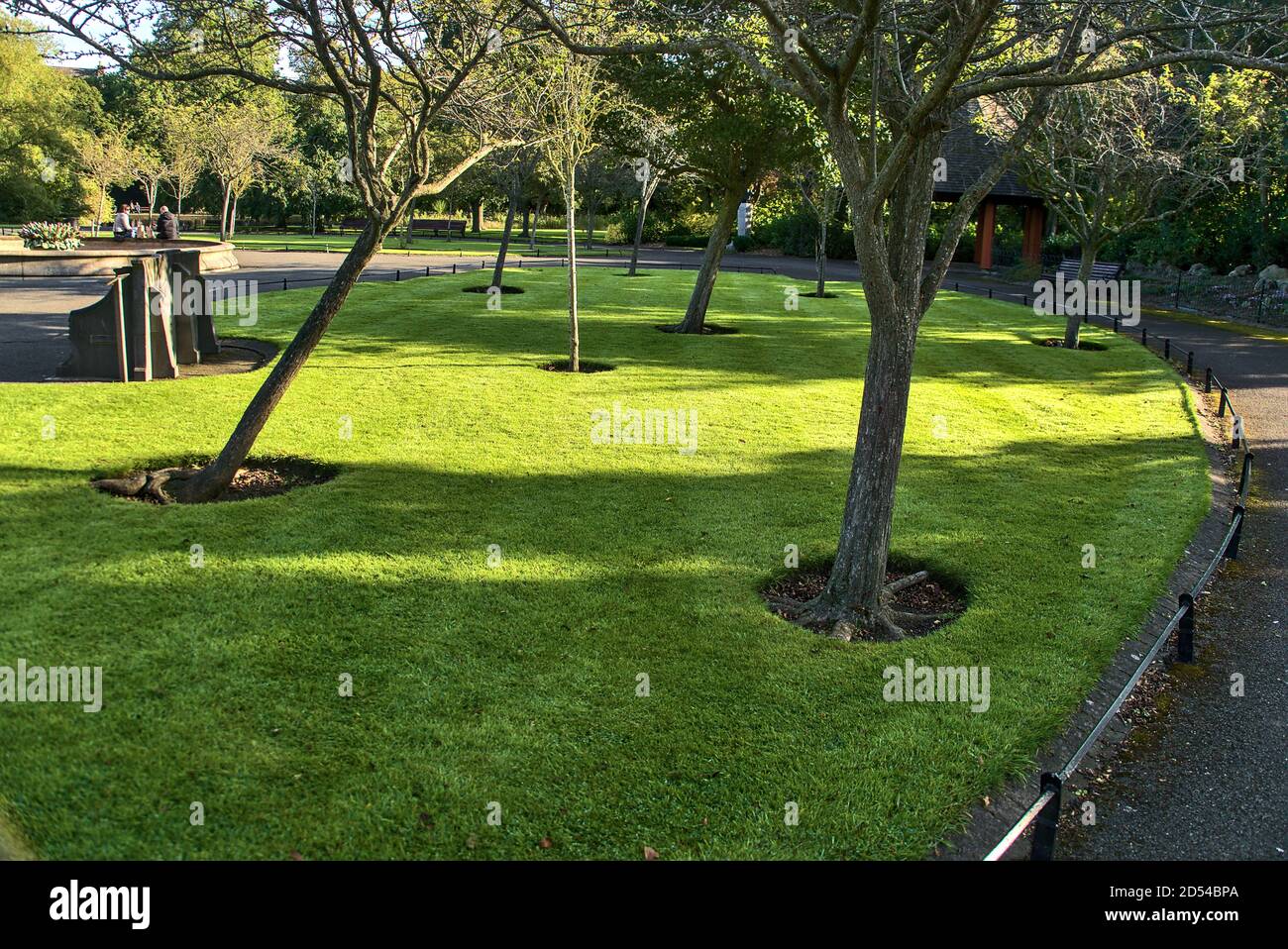 Beautiful mulch tree circles on the lawn in St. Stephen's Green Park in