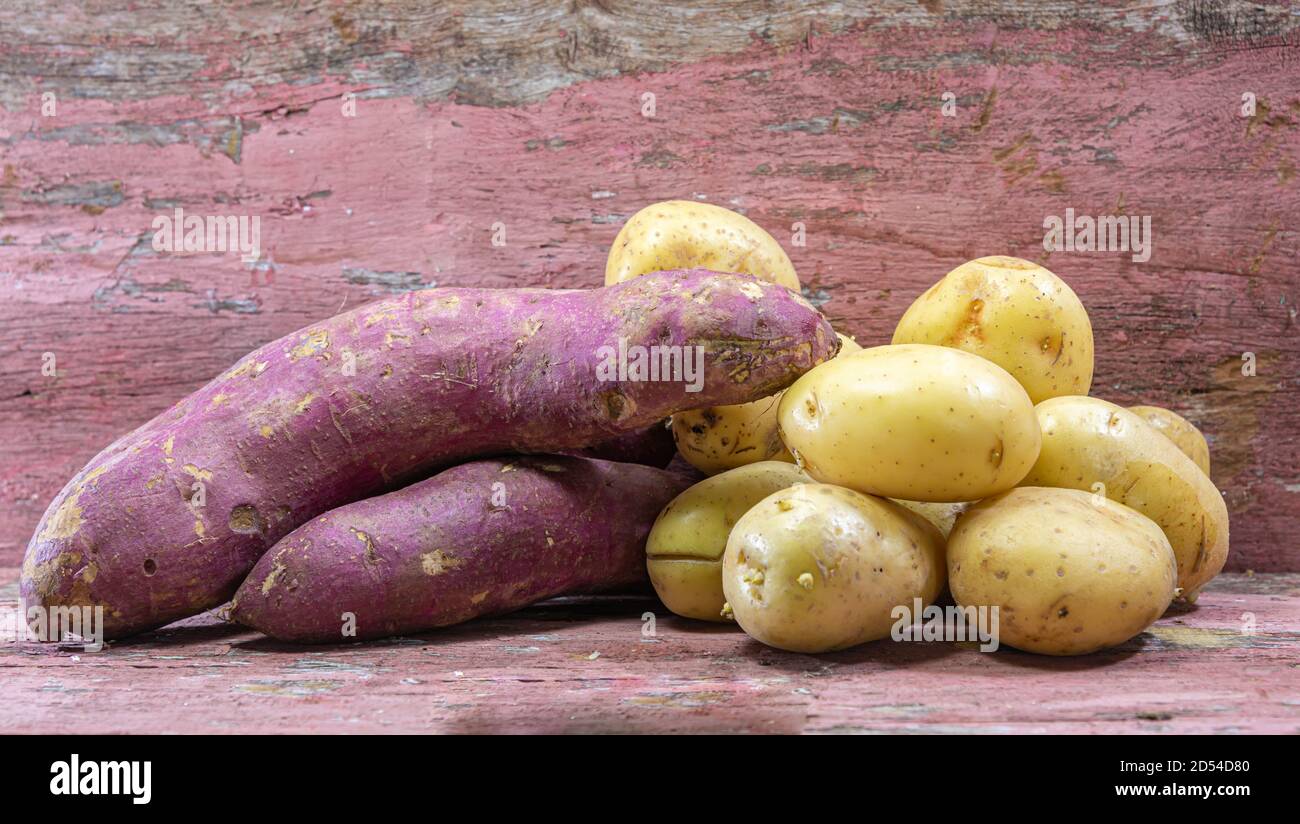 Sweet potato (Ipomoea potatoes) and white potato (Solanum tuberosum). Potatoes and sweet