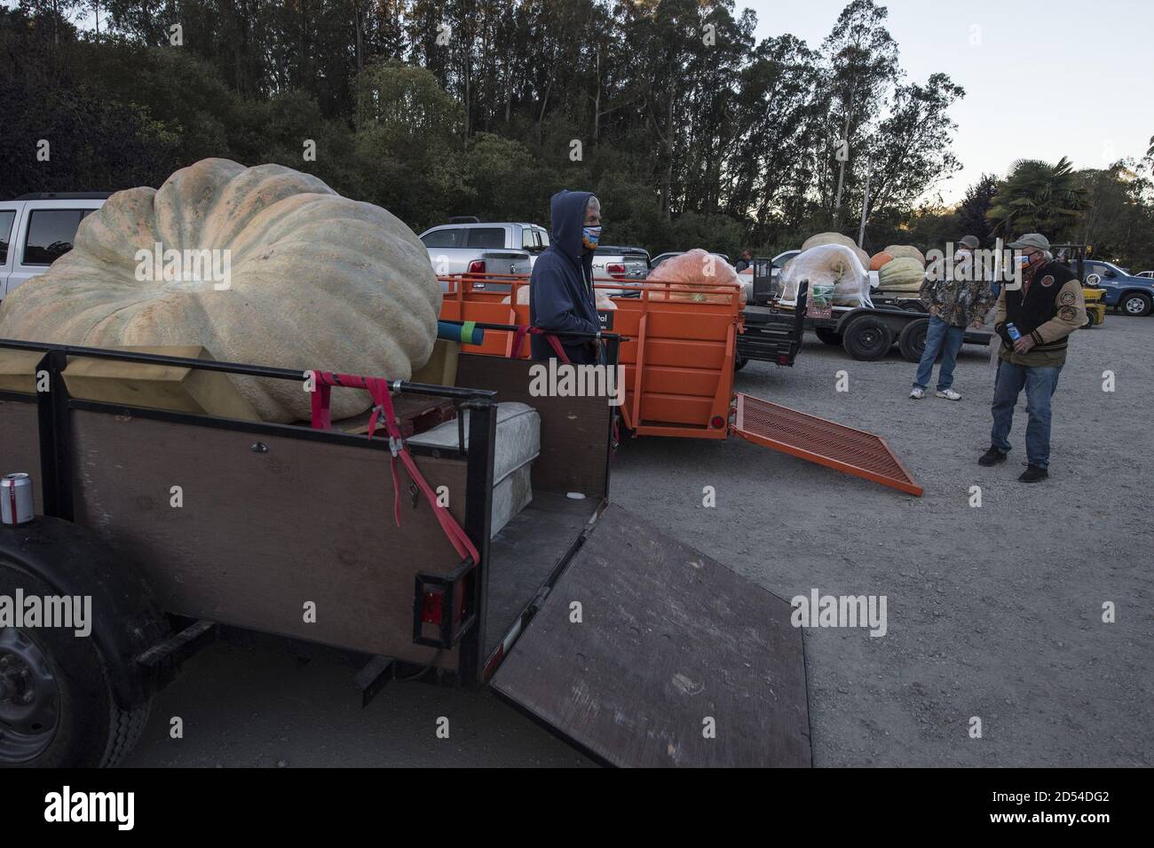 Half Moon Bay, United States. 12th Oct, 2020. Growers wait to have their pumpkins weighed at the 47th annual Championship Pumpkin Weigh-off in Half Moon Bay, California on Monday, October 12, 2020. Travis Gienger of Anoka, Minnesota won this year's competition with his 2350 pound entry. Photo by Terry Schmitt/UPI Credit: UPI/Alamy Live News Stock Photo