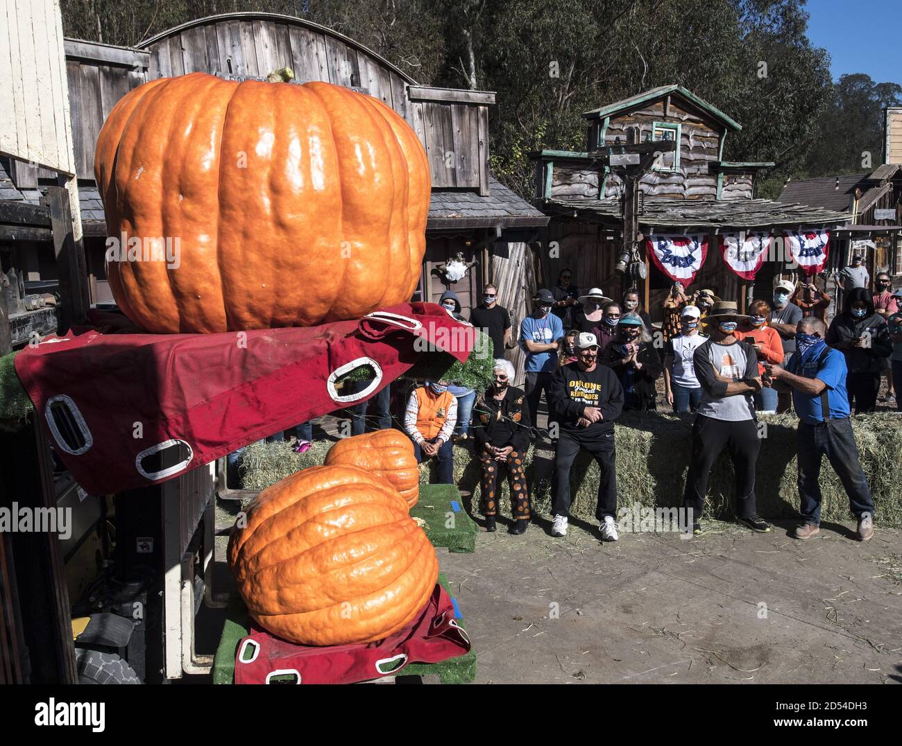 Half Moon Bay, United States. 12th Oct, 2020. The beauty contest portion of the 47th annual Championship Pumpkin Weigh-off is held in Half Moon Bay, California on Monday, October 12, 2020. Travis Gienger of Anoka, Minnesota won this year's competition with his 2350 pound entry. Photo by Terry Schmitt/UPI Credit: UPI/Alamy Live News Stock Photo