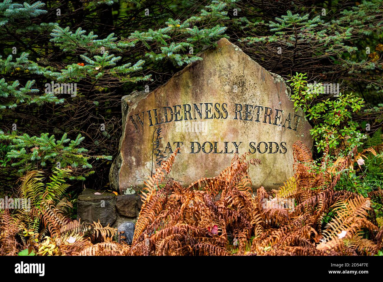 Davis, USA - October 5, 2020: Sign for Wilderness Retreat at Dolly Sods on stone rock in Monongahela National Forest Stock Photo