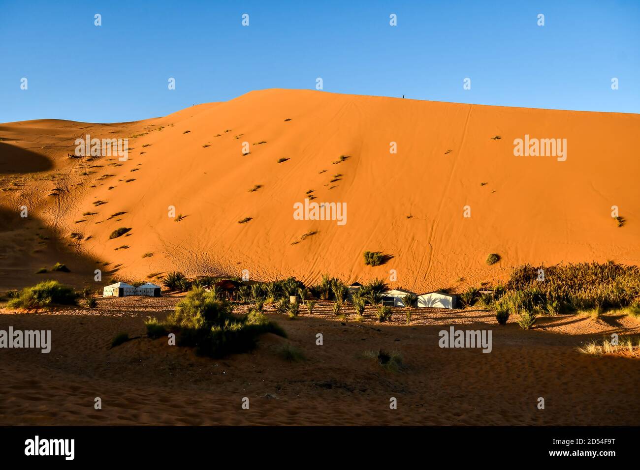 desert in egypt, photo as background Stock Photo Alamy