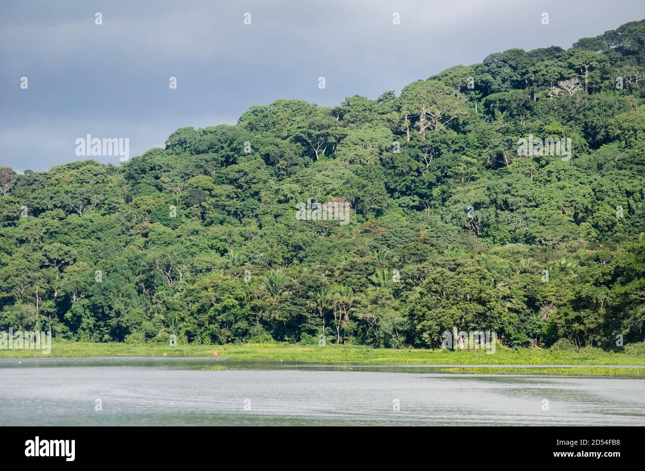 The Chagres River and the Soberania National Park in the distance Stock Photo