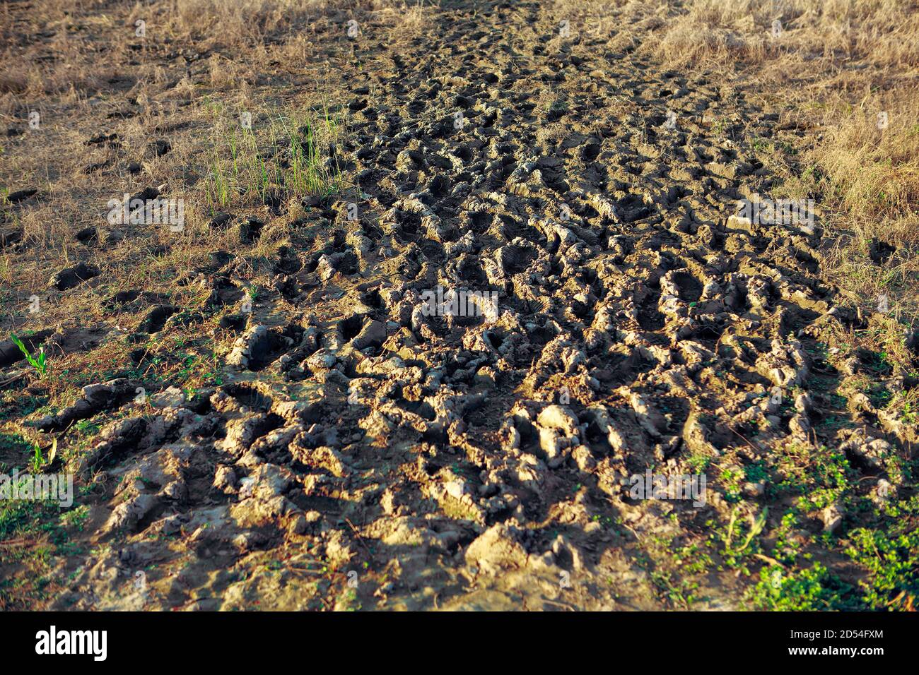 Dirty terrain surface with footprints Stock Photo