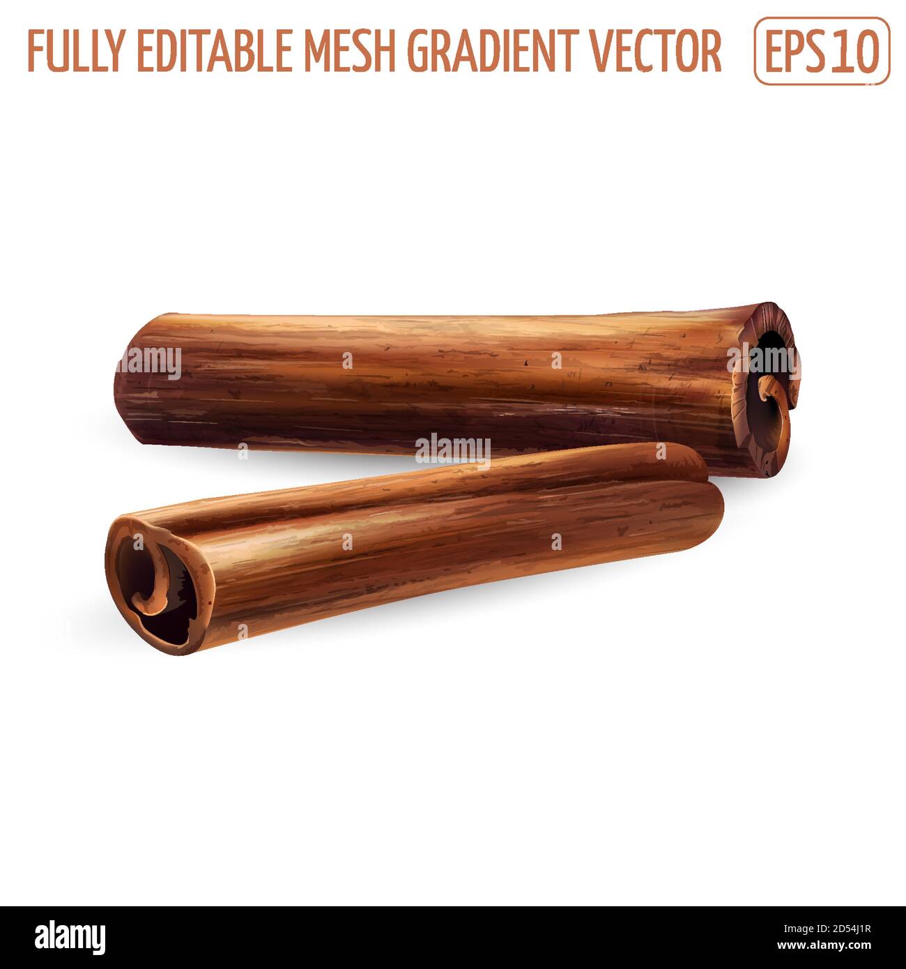 Two cinnamon sticks on a white background Stock Vector Image & Art - Alamy