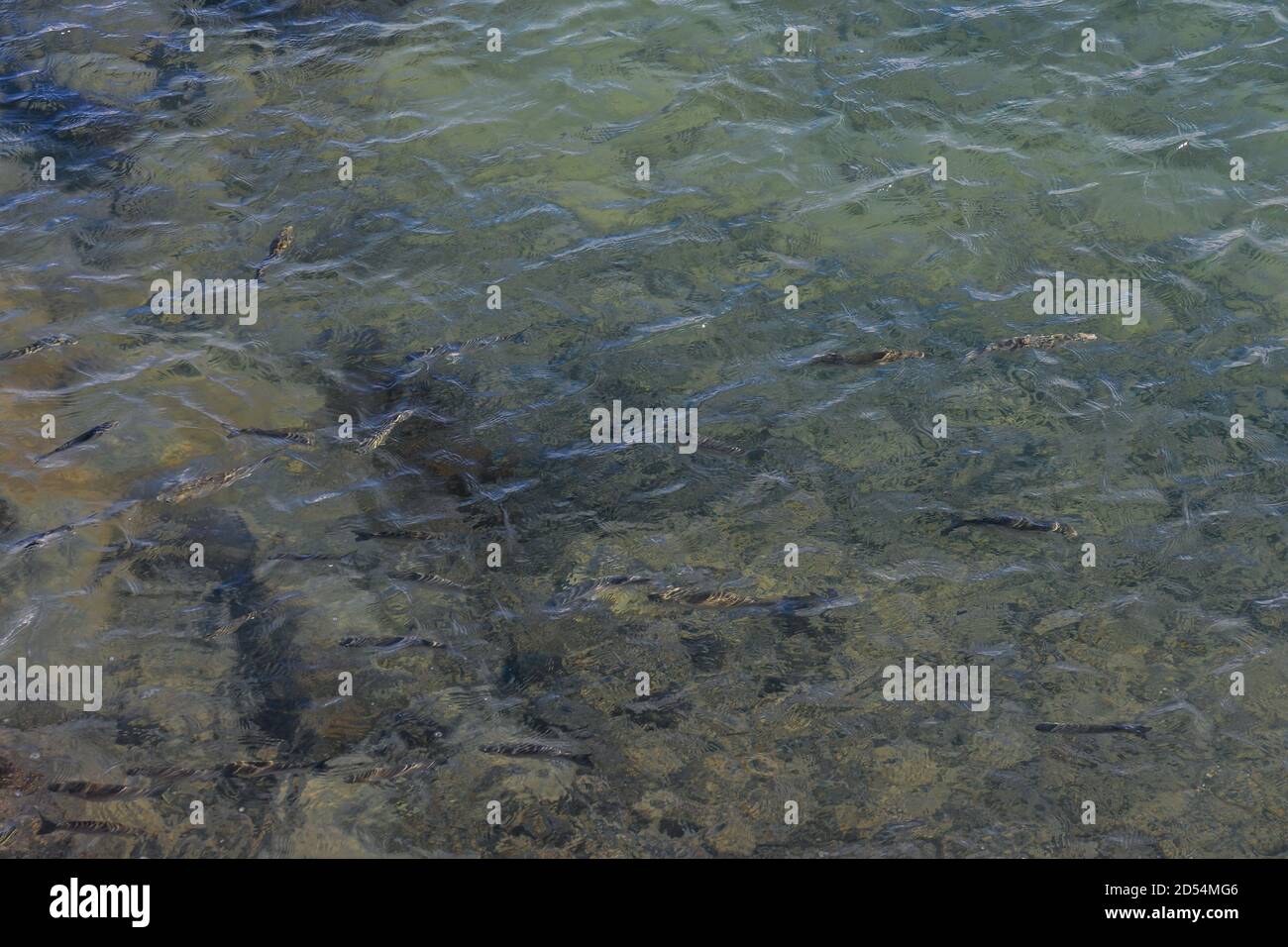 Water Pattern Texture Stock Photo - Alamy