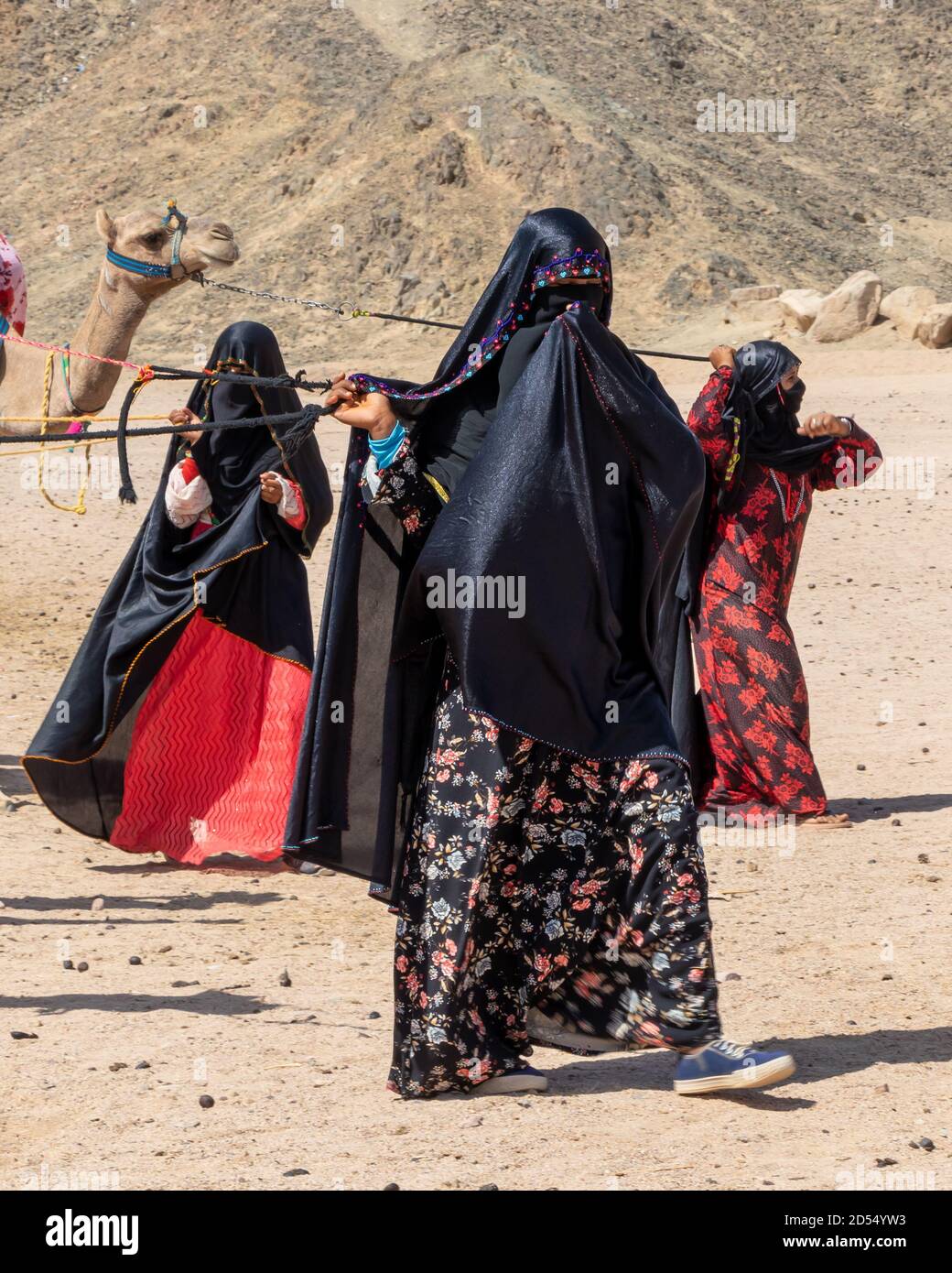 Bedouin women sahara hi-res stock photography and images - Alamy