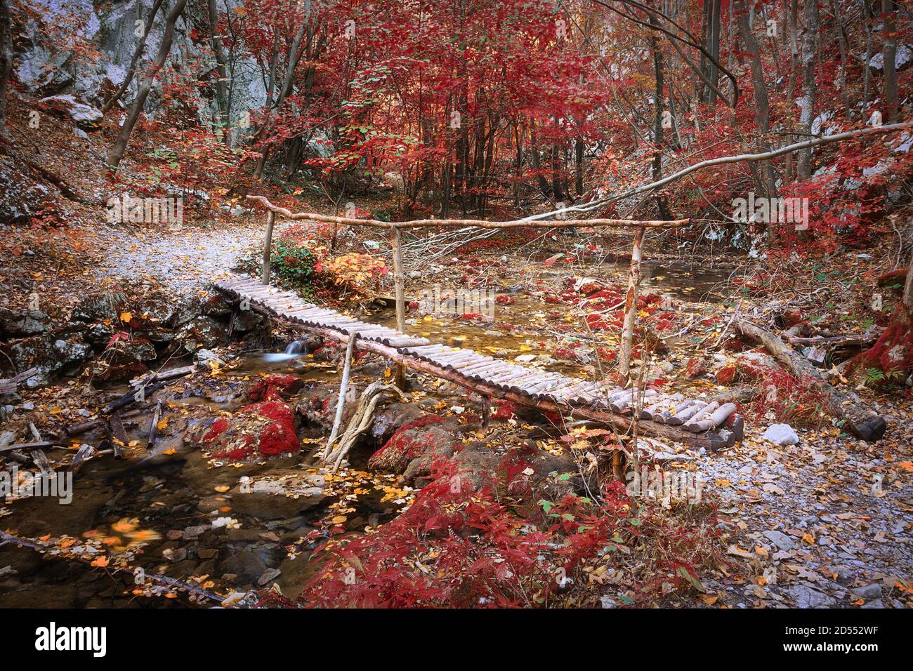 wooden bridge in Cheile Nerei Beusnita, Romania, image taken in fall season Stock Photo