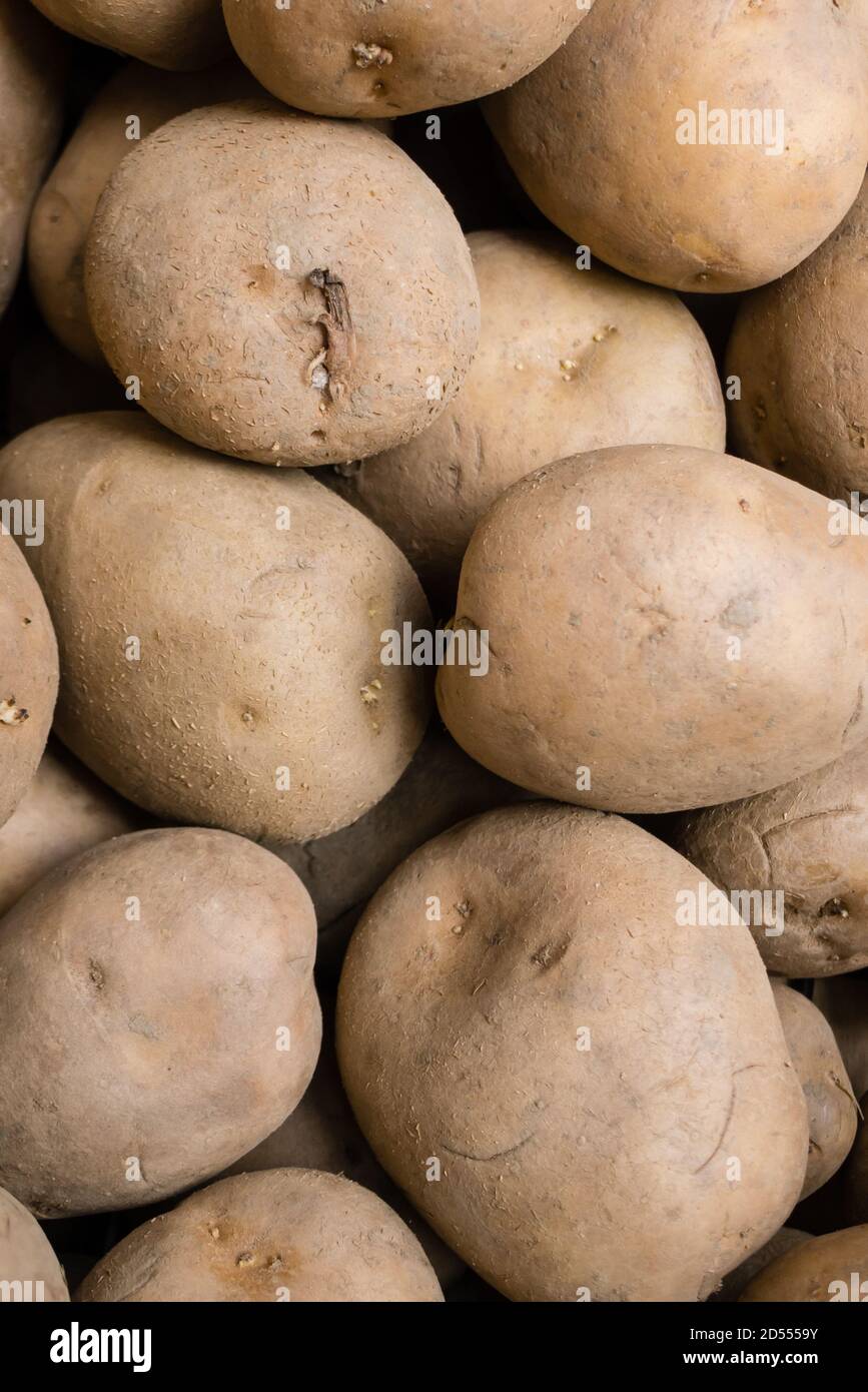 Potatos on display, Solanum tuberosum Stock Photo