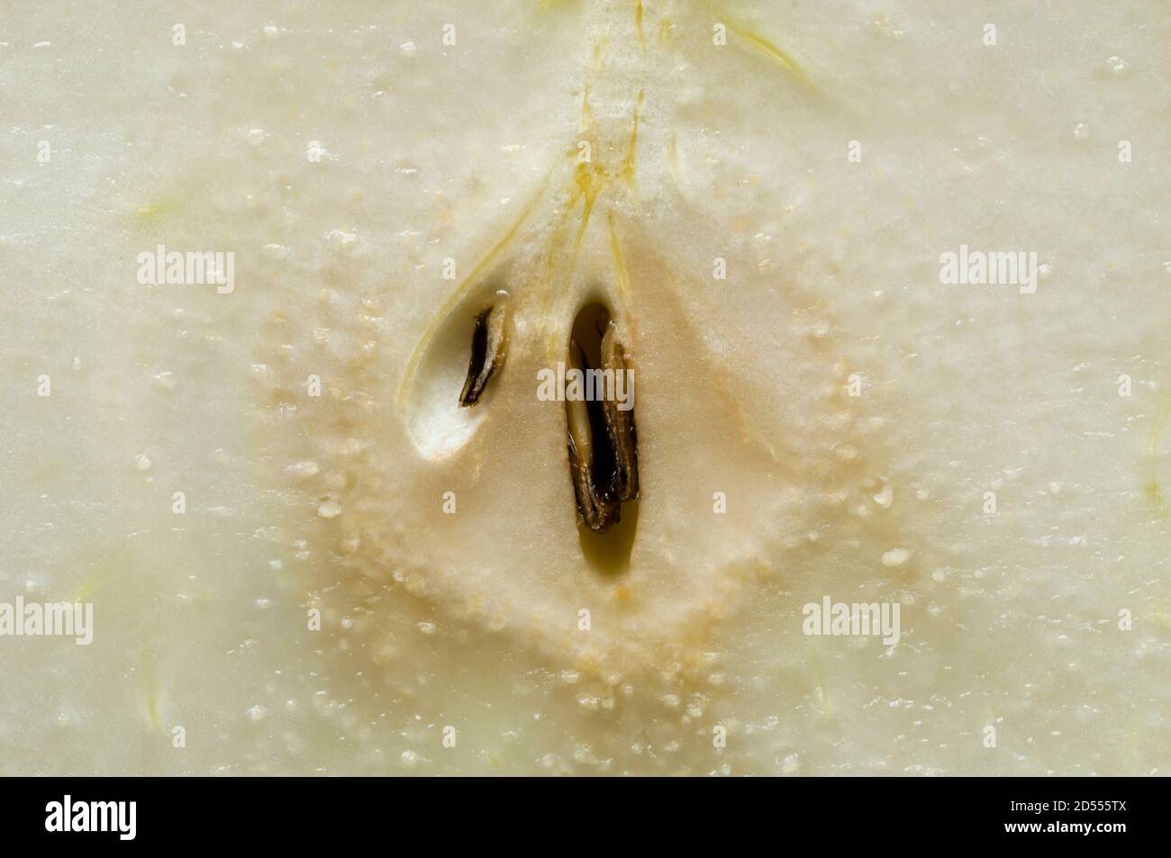 Detail of pulp with seeds of a pear Stock Photo