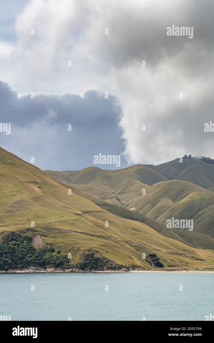 New Zealand Landscape Stock Photo