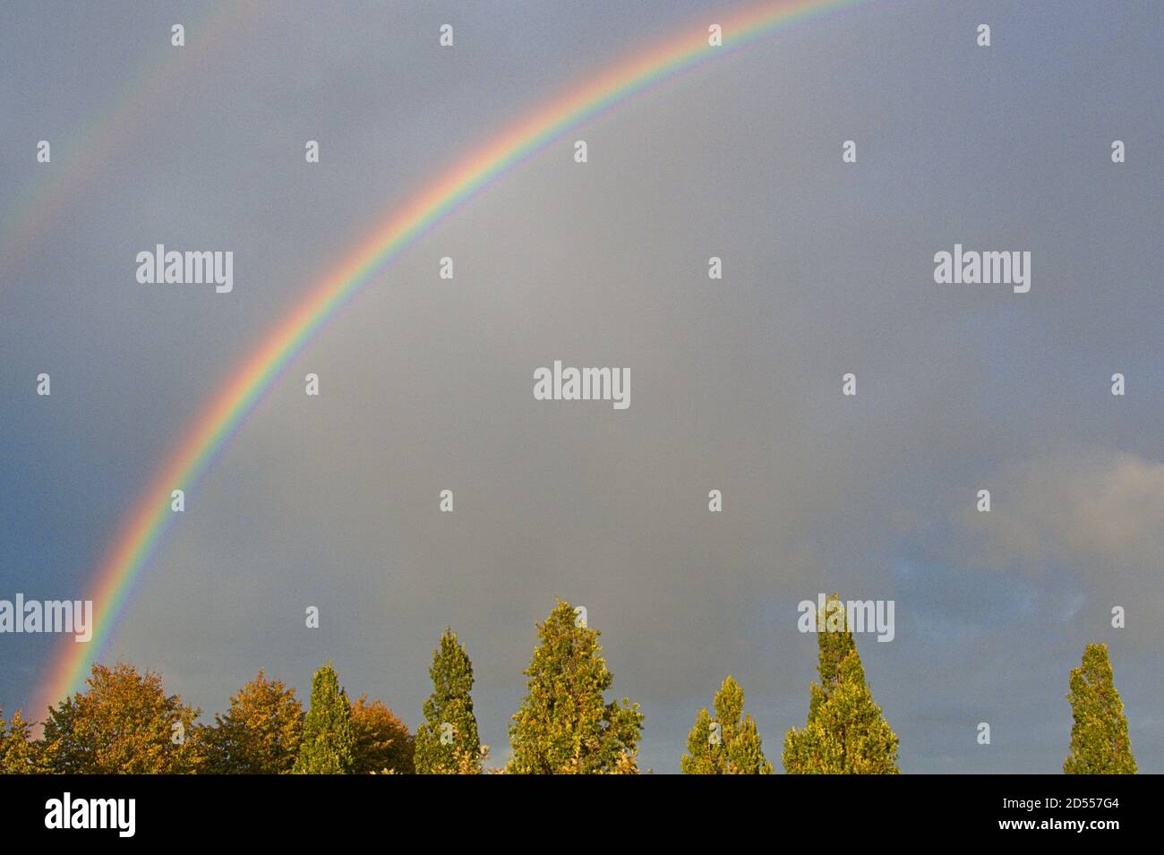 October 7th, 2020, a powerful rainbow in the dark cloudy sky over Schleswig. The arc-shaped, colored light band is created when the sun shines on a wall of rain and the light is broken into its spectral colors. | usage worldwide Stock Photo
