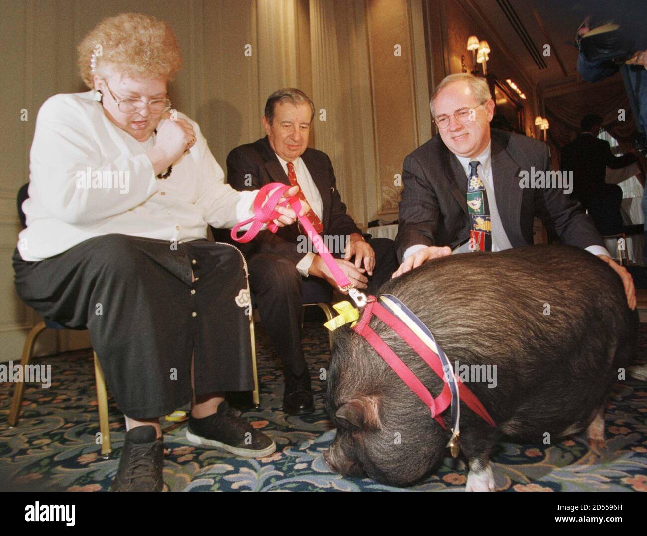 LuLu, a 150-pound potbellied pig, is positioned for photos with owner JoAnn  Altsman, (L) at the American Society for the Prevention of Cruelty to  Animals 1999 National Humane Awards in New York