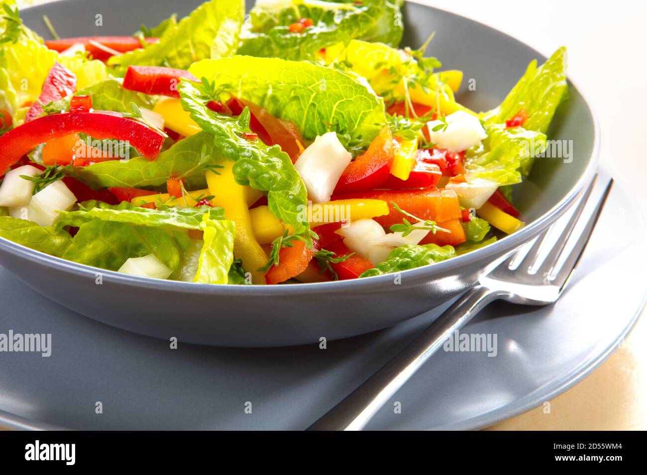 Rohkost, gemischter Salat mit Romansalat, Paprika, Fenchel und Mango. Stock Photo