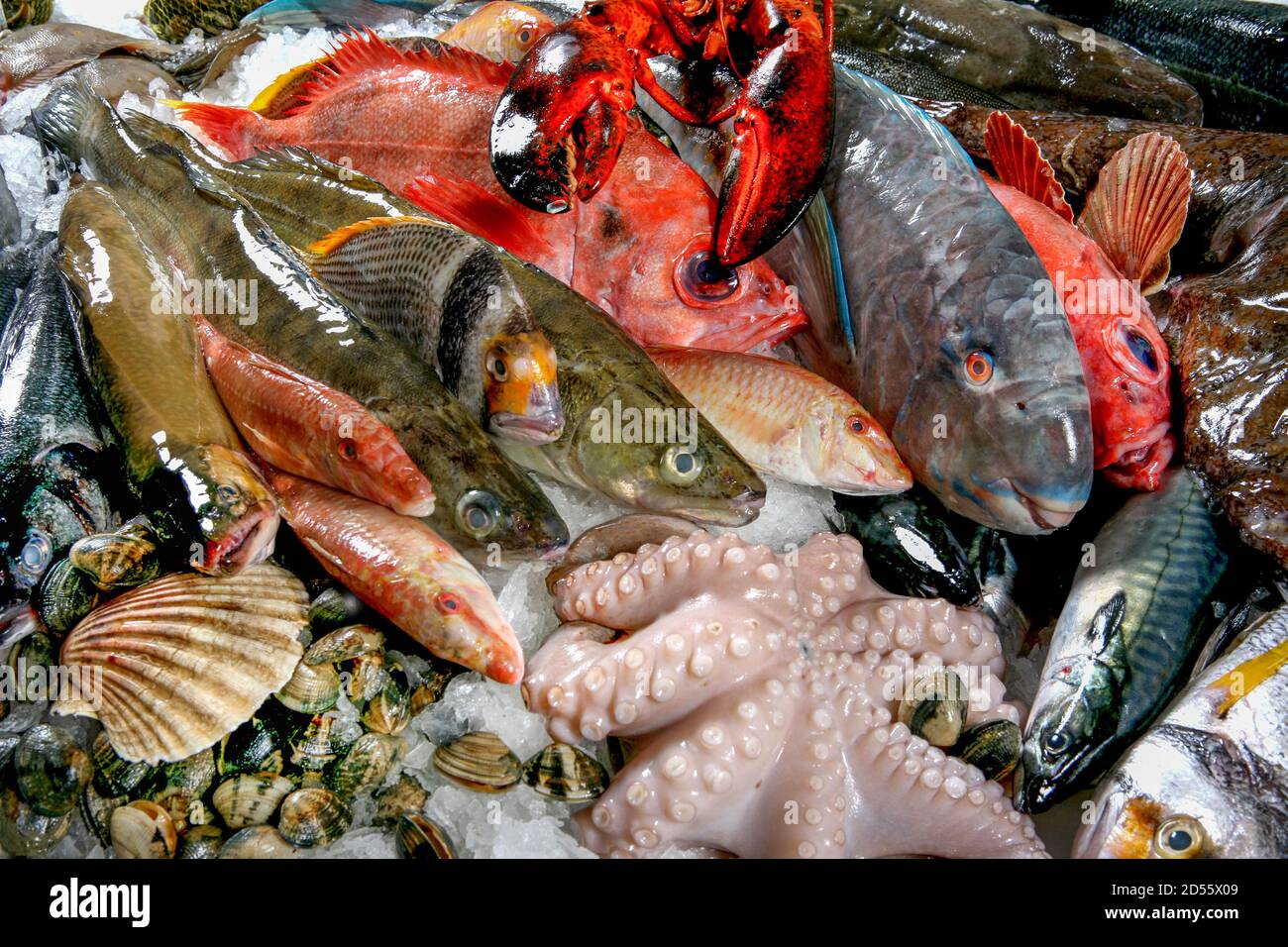 Internationaler fangfrischer Fisch vom Fischgrosshandel in Hamburg Stock Photo