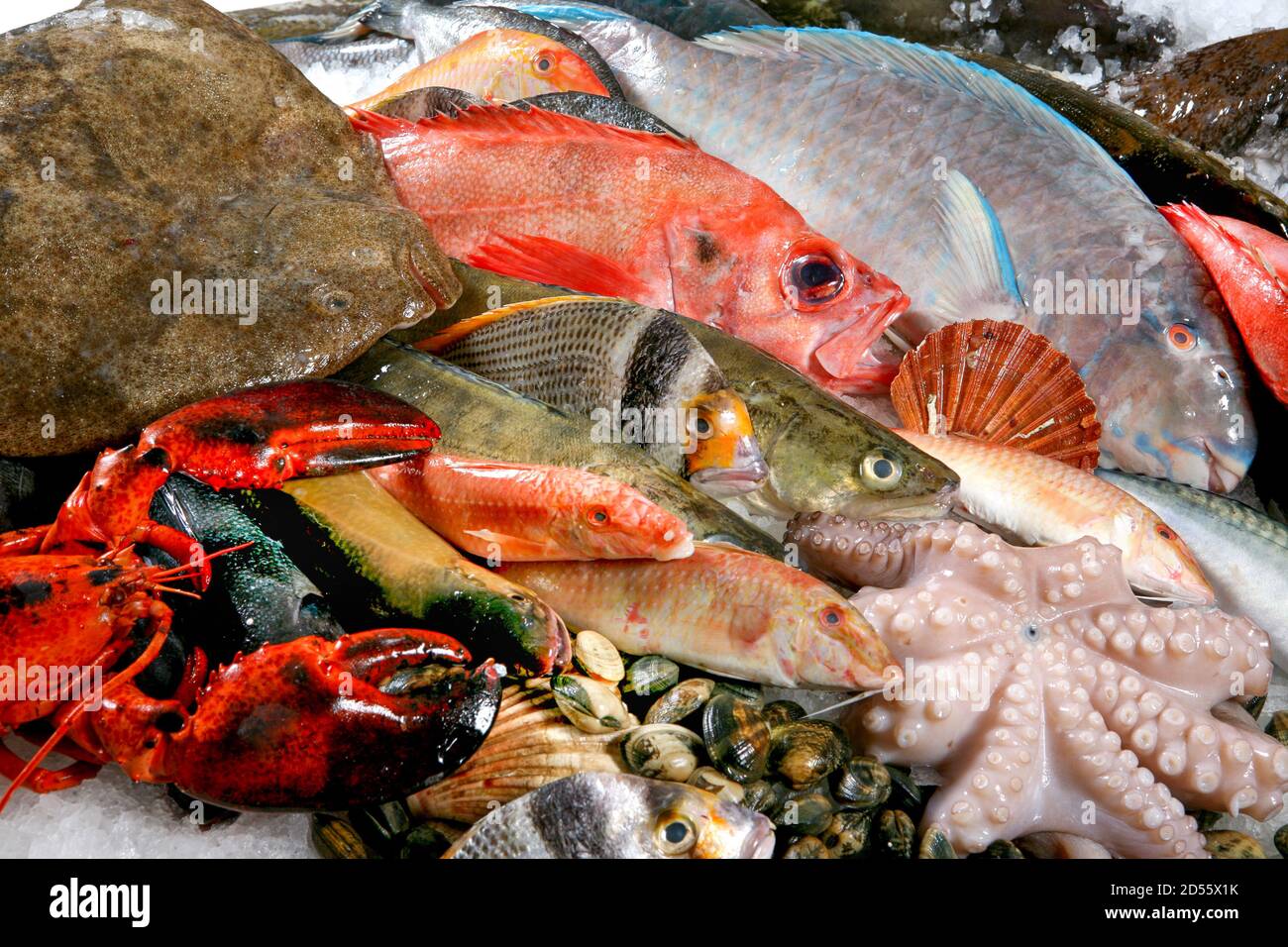Internationaler fangfrischer Fisch vom Fischgrosshandel in Hamburg Stock Photo