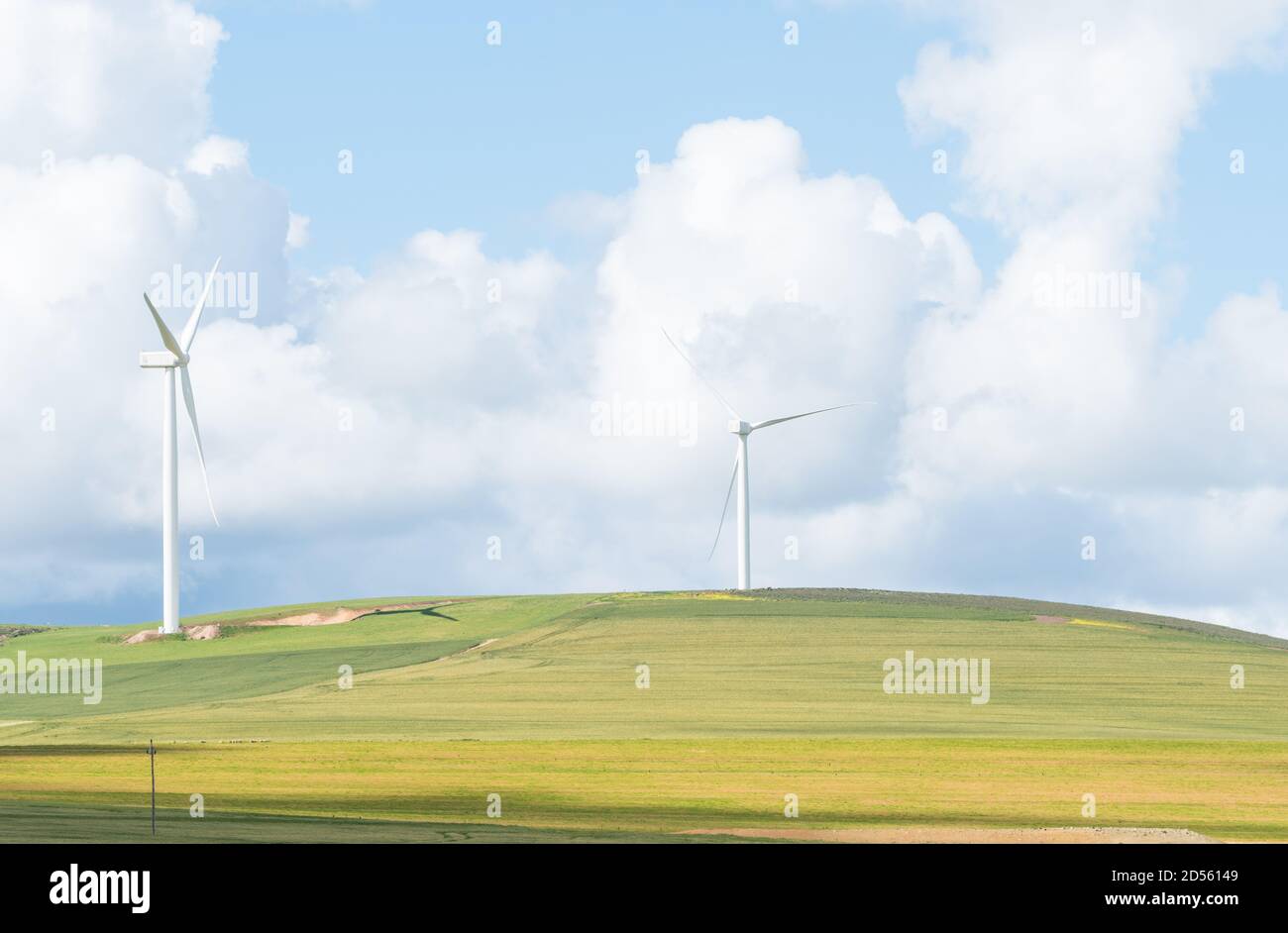 wind energy turbines on a farm in the Overberg region of South Africa concept technology and environmental awareness in Africa Stock Photo