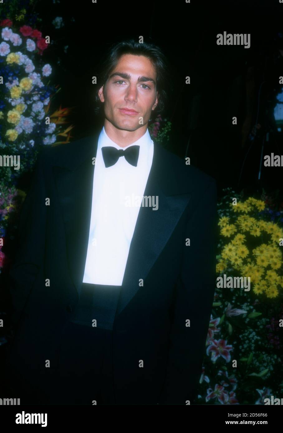 Los Angeles, California, USA 25th March 1996 Model/actor Michael Bergin attends the 68th Annual Academy Awards at Dorothy Chandler Pavilioin on March 25, 1996 in Los Angeles, California, USA. Photo by Barry King/Alamy Stock Photo Stock Photo