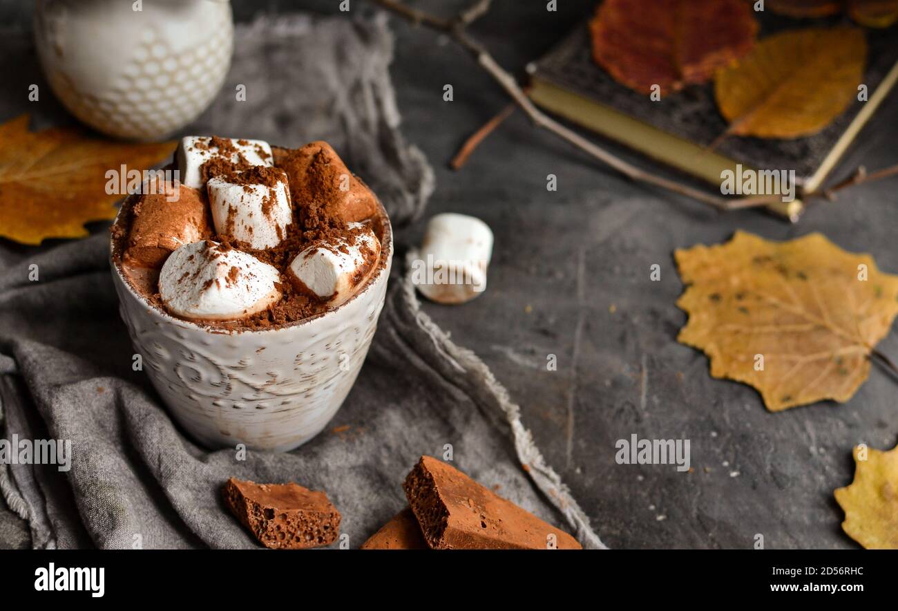 Hot chocolate and marshmallows. Hot Cocoa in a white cup. Dark background. Autumn drink concept. Copy space. Stock Photo
