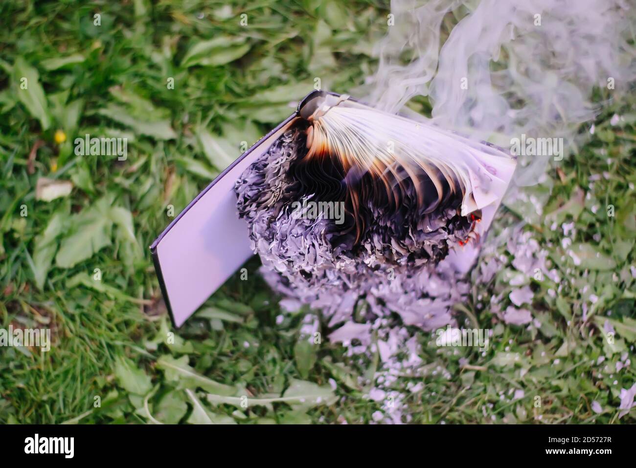 Old notepad burning on green summer grass outdoors Stock Photo - Alamy