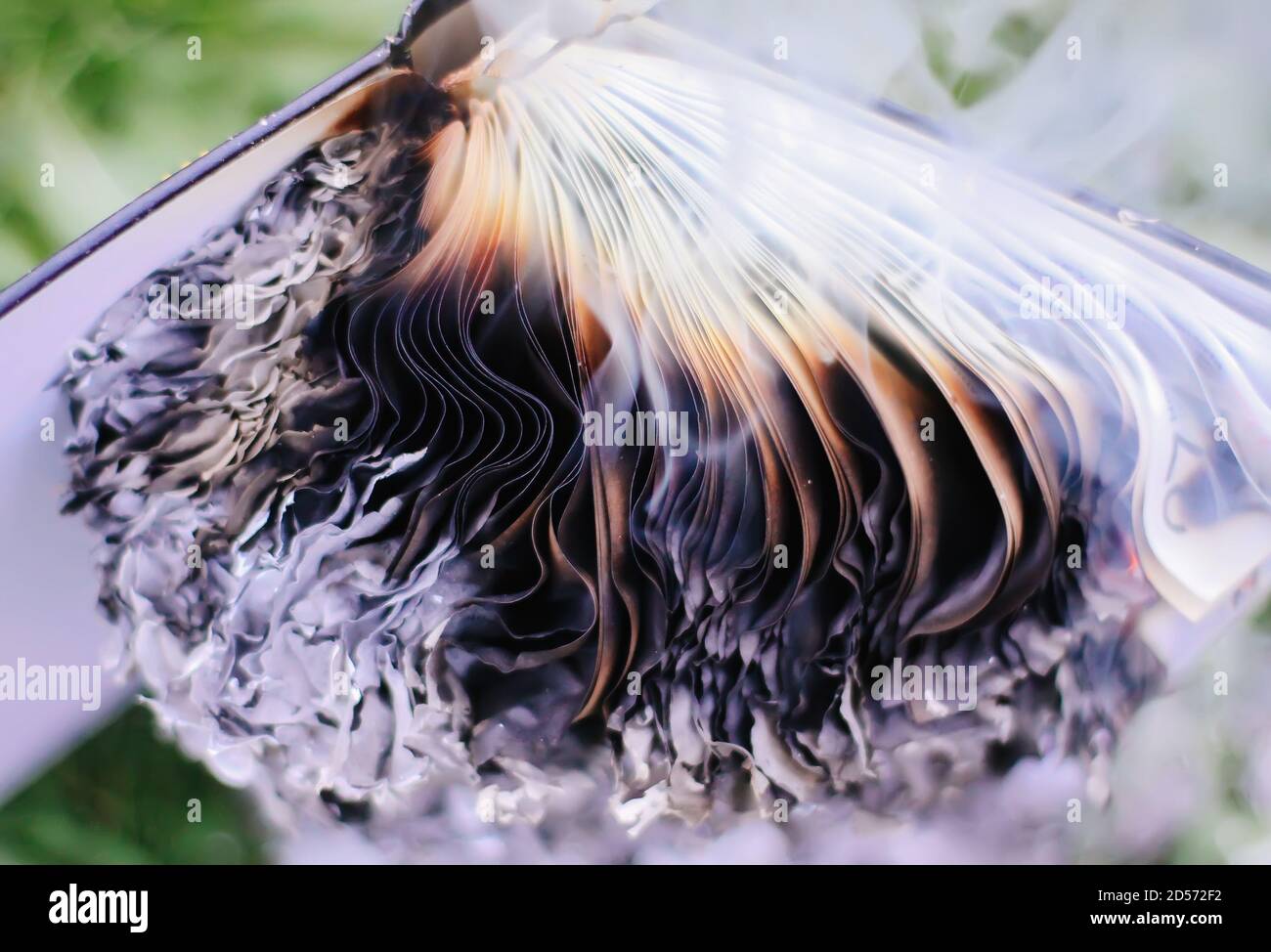 Old notepad burning on green summer grass outdoors Stock Photo - Alamy