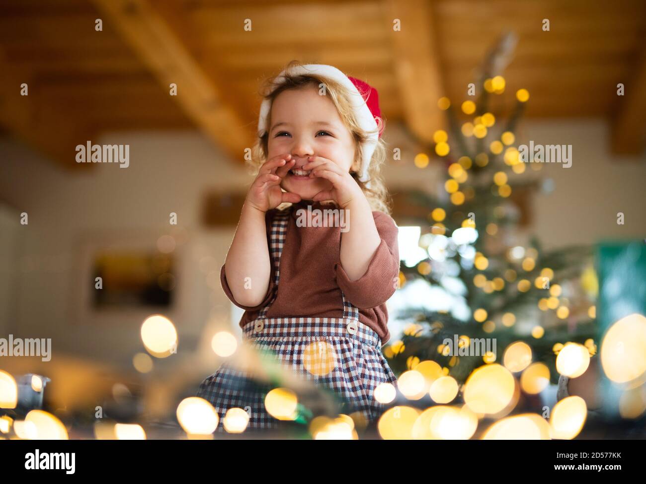 Portrait of small girl indoors at home at Christmas, laughing. Stock Photo