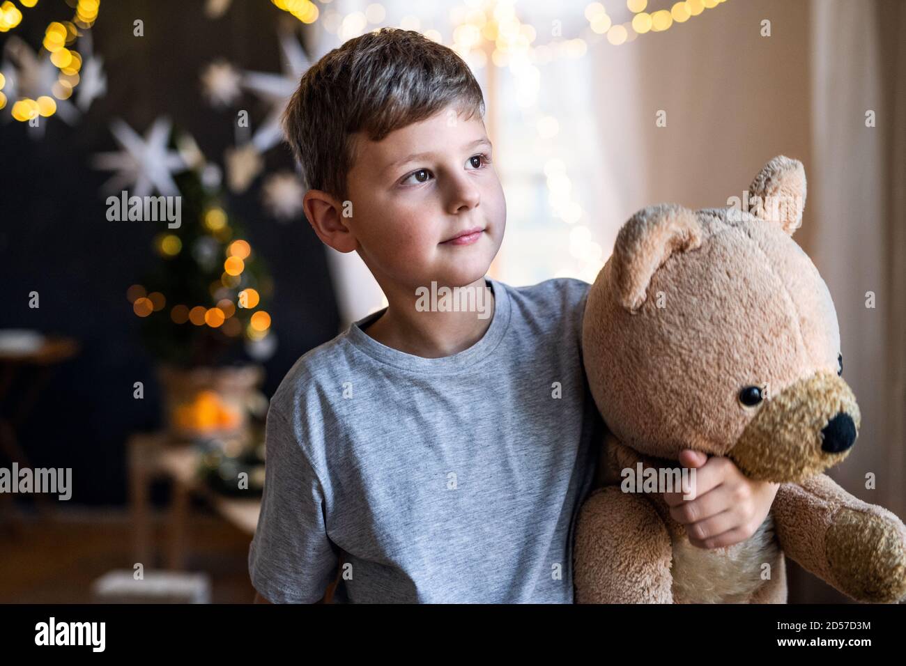 Small boy indoors at home at Christmas, holding teddy bear Stock Photo ...