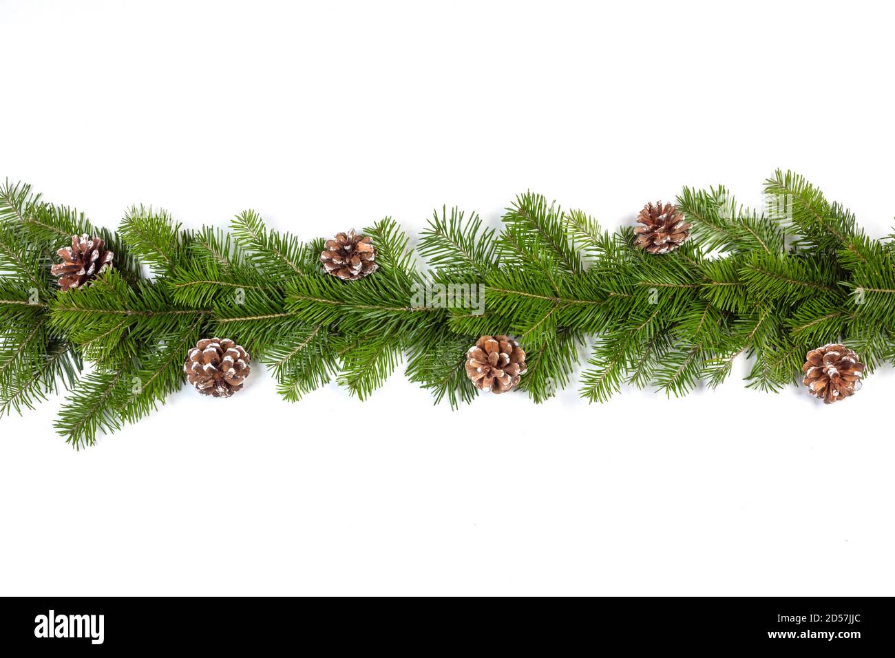 Winter and Christmas fir and cones composition isolated on white ...