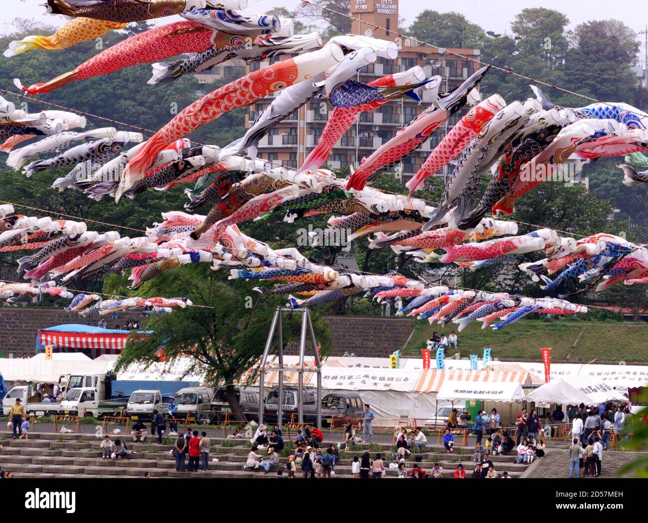 Colourful carp fish streamers flutter in the wind over the Sagami River
