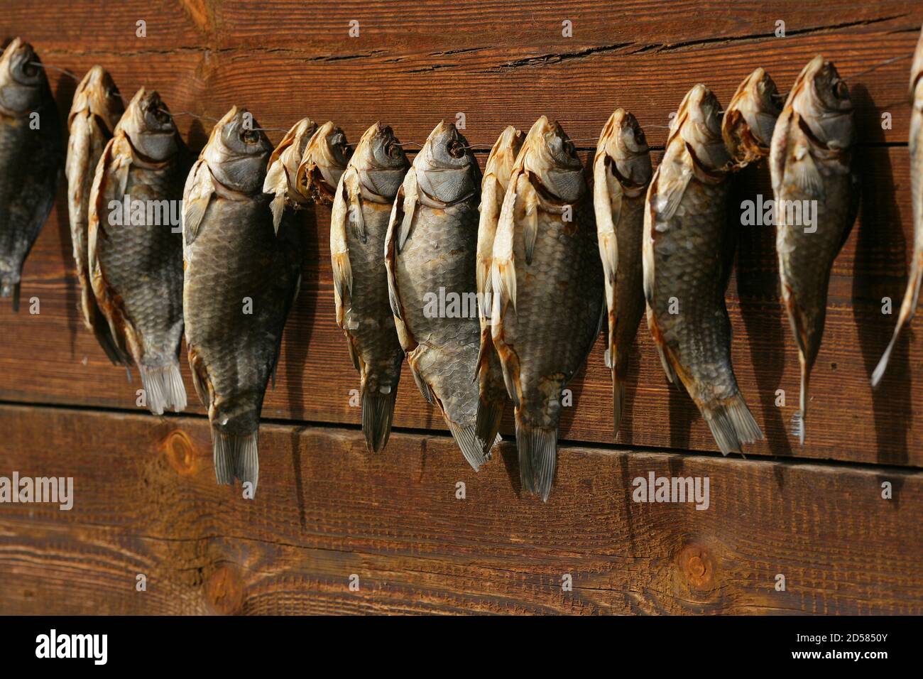 A bunch of dried salted fish hangs on a background of wooden planks Stock Photo