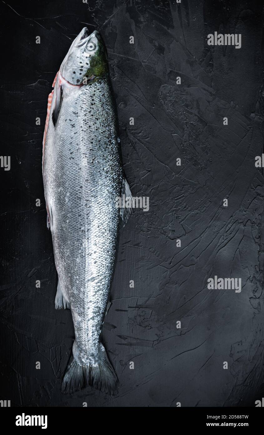 Fresh whole salmon on black background, flat lay with space for text ...