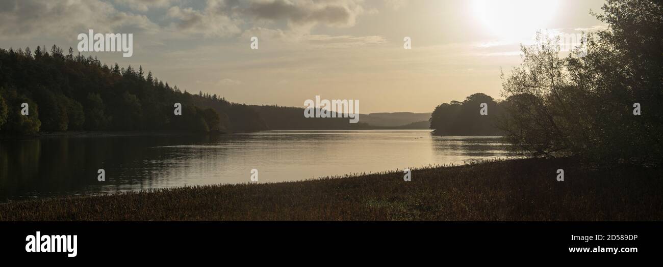 Panoramic early morning view across a calm Fewston Reservoir in the Washburn Valley, North Yorkshire Stock Photo
