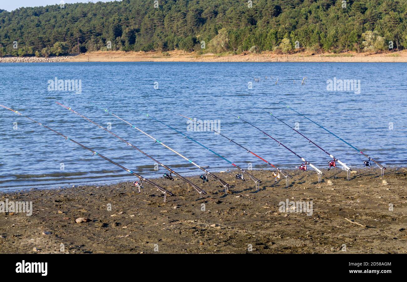 Fishing rods near the lake Stock Photo