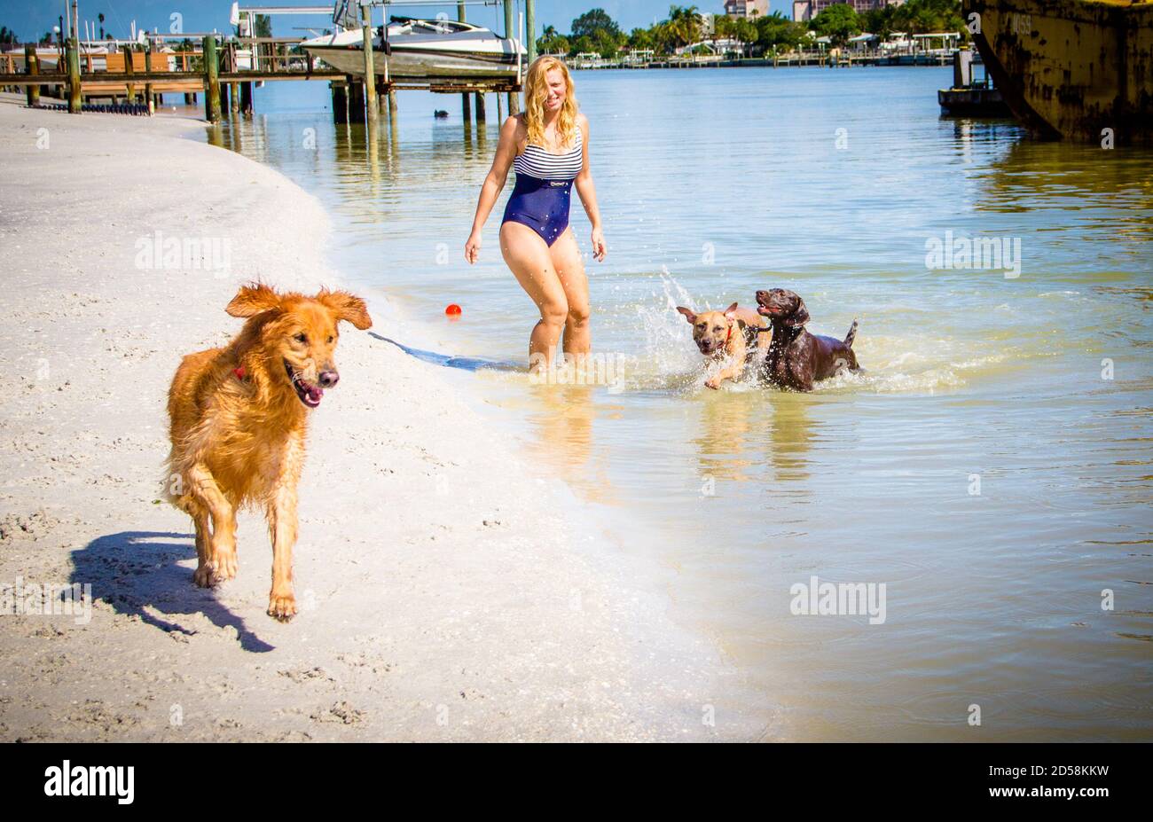 Woman playing with three dogs on the beach, Sunset Beach, Pinellas