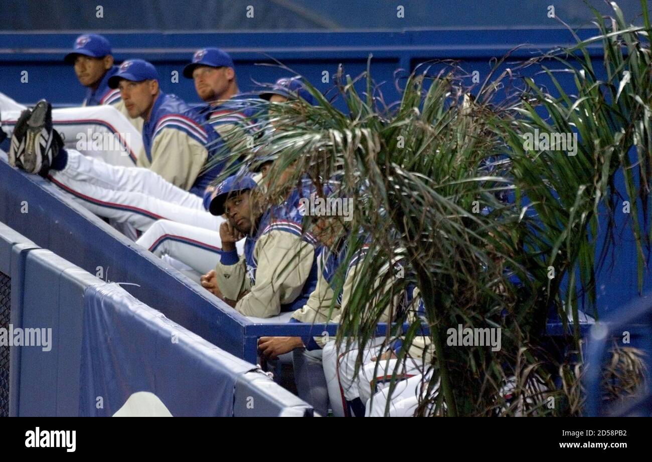 Members Of The Toronto Blue Jays Look Around A Palm Tree Set Up Beside The Bullpen During Their Exhibition Game Against The Cleveland Indians In The Domed Stadium Skydome March 4 Both