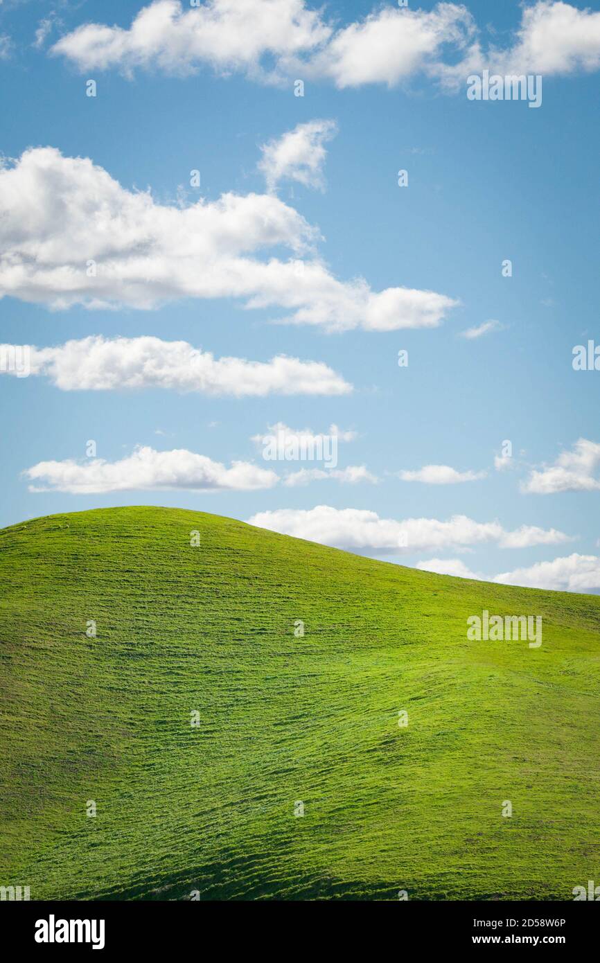 Grass covered hill against a partly cloudy sky, California, USA Stock Photo