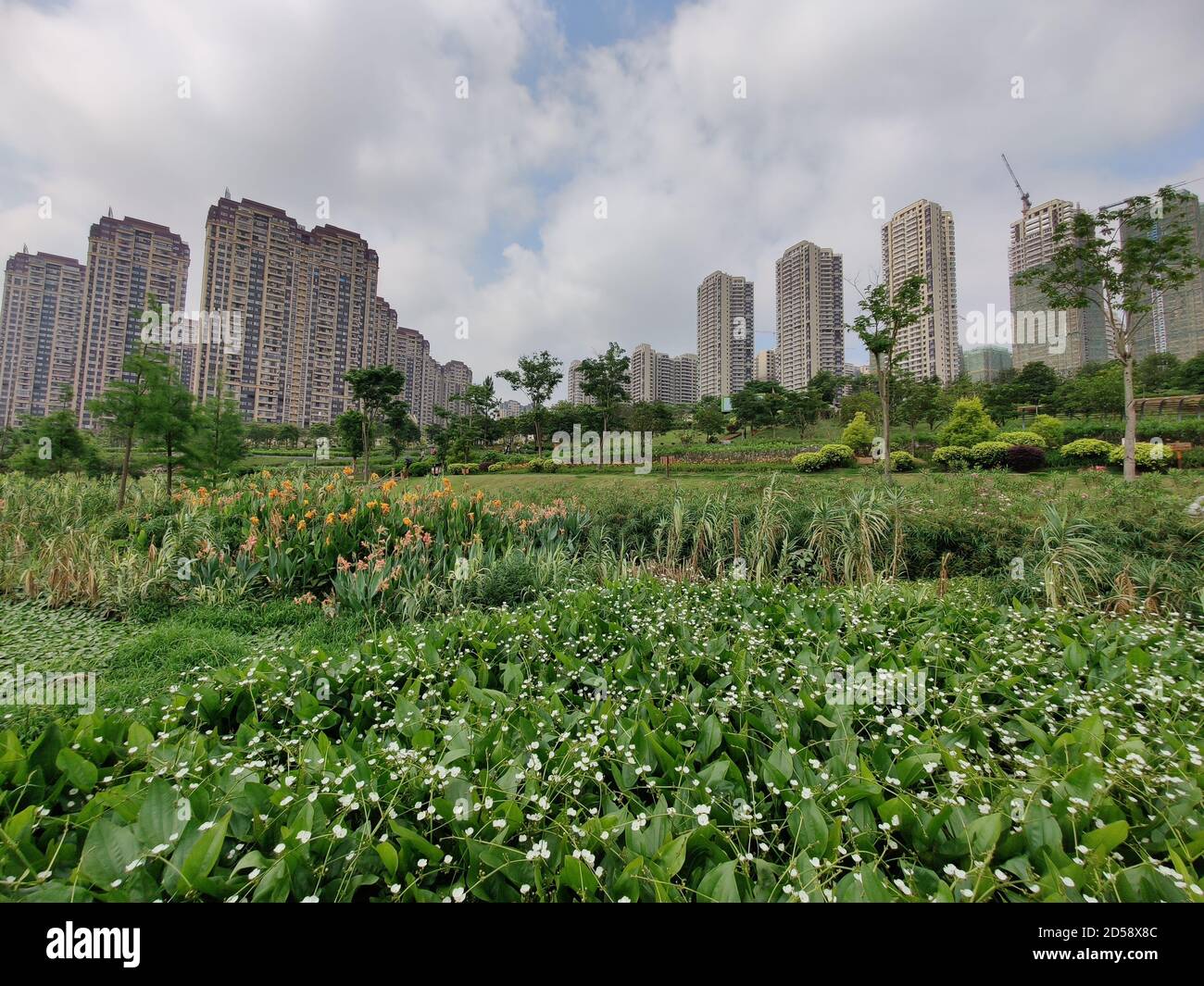 Nanning. 21st May, 2020. Photo taken on May 21, 2020 shows the scenery of Nakaohe wetland park in Nanning of south China's Guangxi Zhuang Autonomous Region. TO GO WITH 'Across China: 'Sponge city' program bears fruit' Credit: Guo Yifan/Xinhua/Alamy Live News Stock Photo