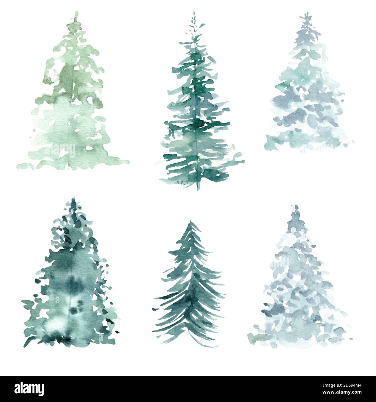Pine Tree Clipart High Resolution Stock Photography And Images Alamy