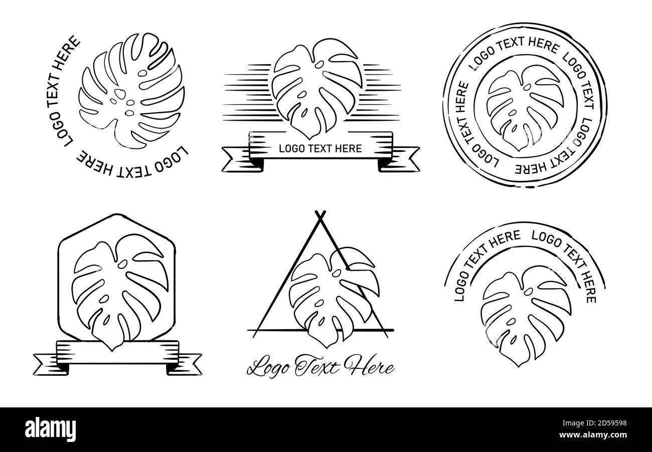 Logo monstera tropical plant set collection template banner hand drawing  sketch white isolated background Stock Vector Image & Art - Alamy