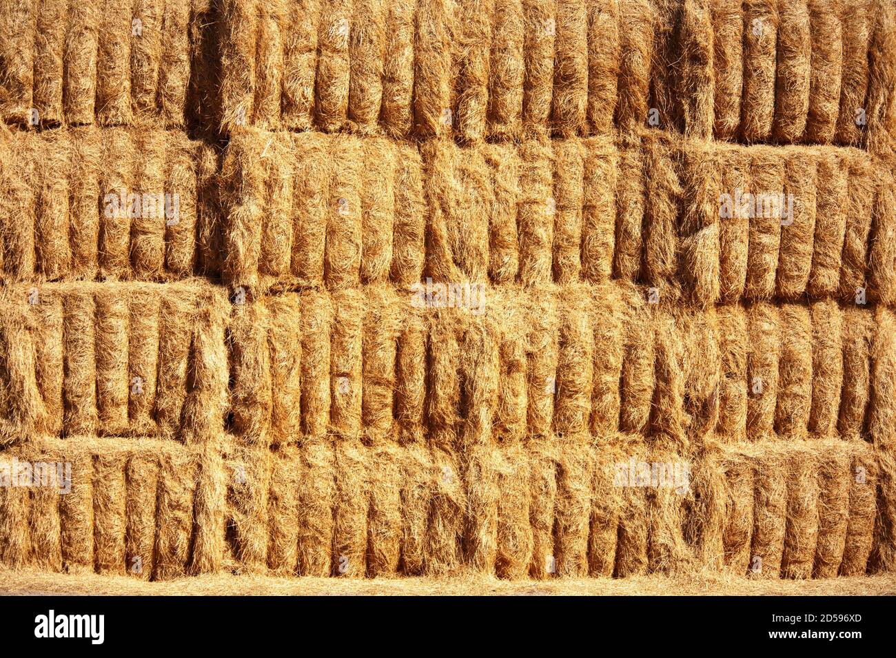 Close-up of a stack of hay bales in a field, USA Stock Photo