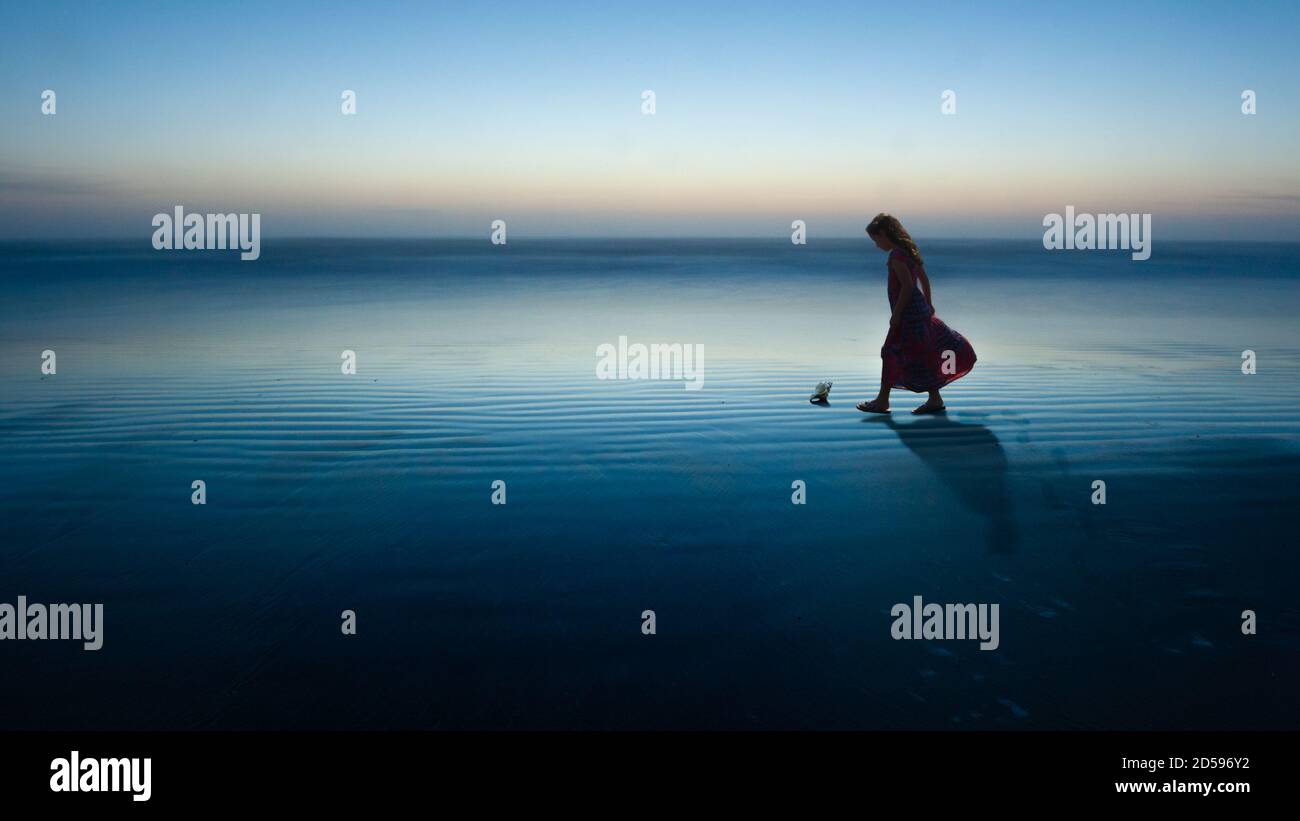 Silhouette of a girl on the beach looking for seashells, USA Stock Photo