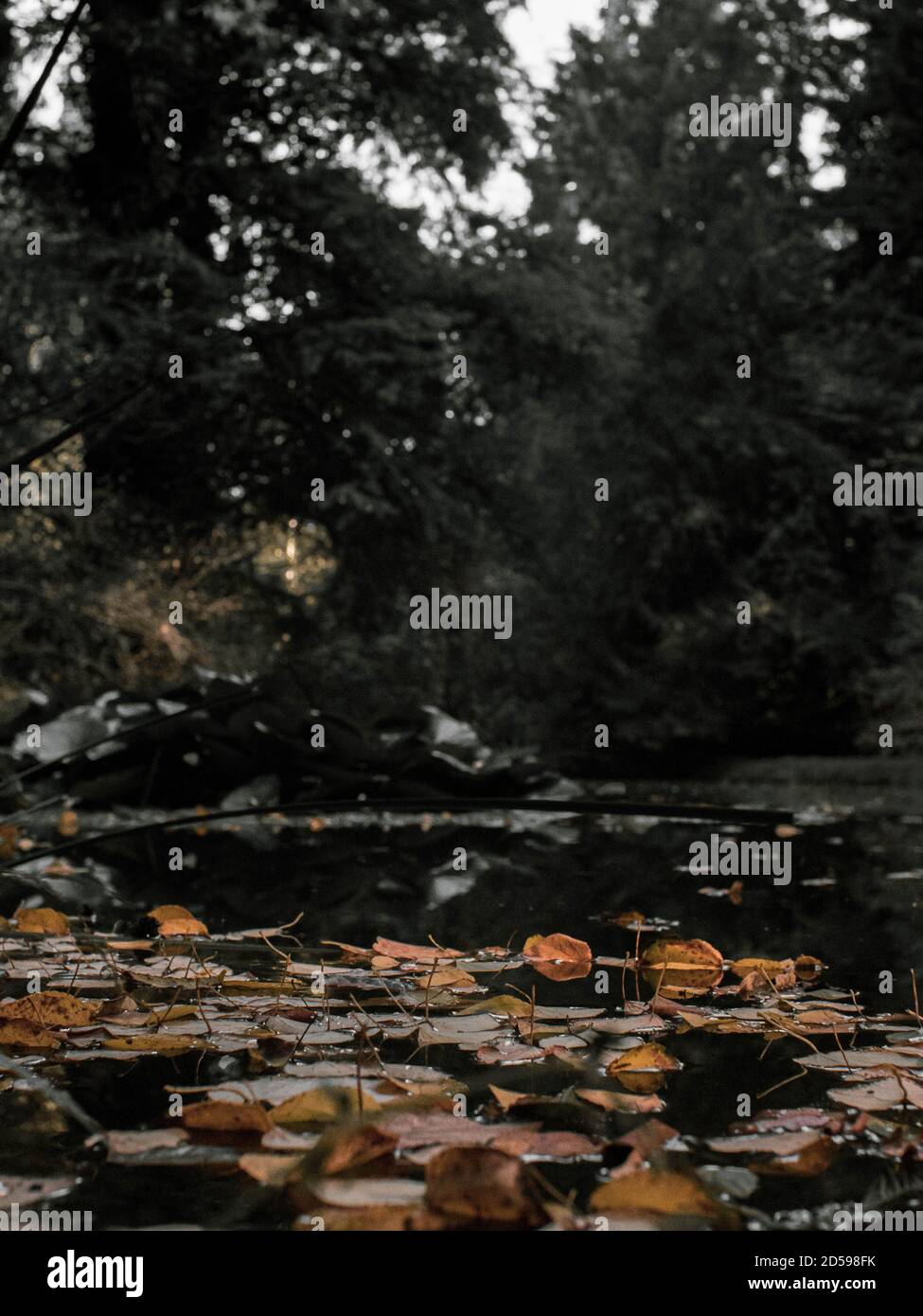 Natural photography hi-res stock photography and images - Alamy