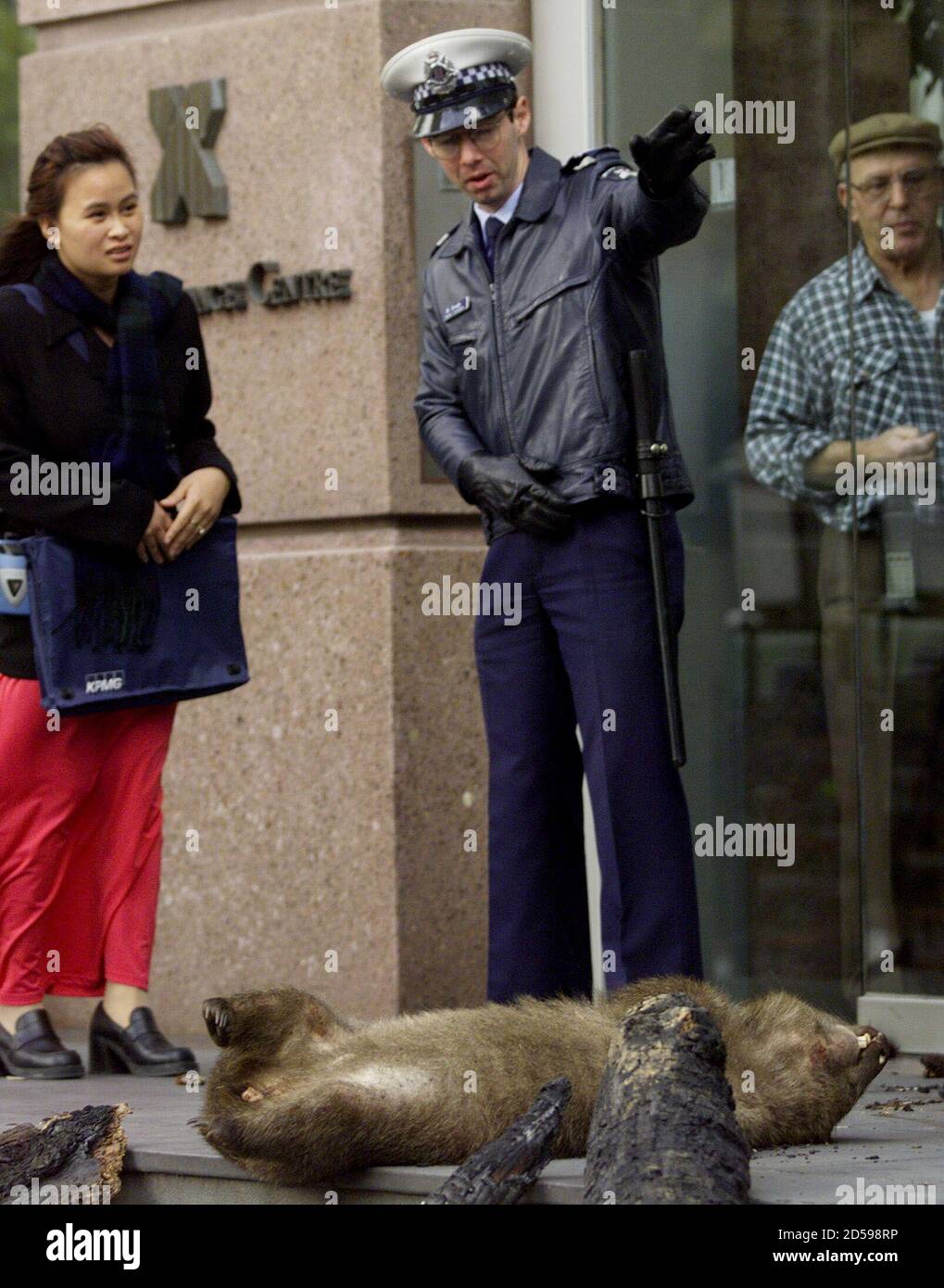 A police officer gives directions to a passerby (L) as a man (R) looks out from inside the Stock Exchange Center in Melbourne June 18. At the feet of the constable lies the carcass of a wombat, a victim of roadkill and burnt logs dumped outside the financial centre by activists protesting against woodchipping and pegging their demonstartion to the G8 Summit by world leaders in Cologne. The public anti-woodchipping lobby say demands for woodchips by a Japanese company is ruining forests and killing animals.  WB/JIR/WS Stock Photo