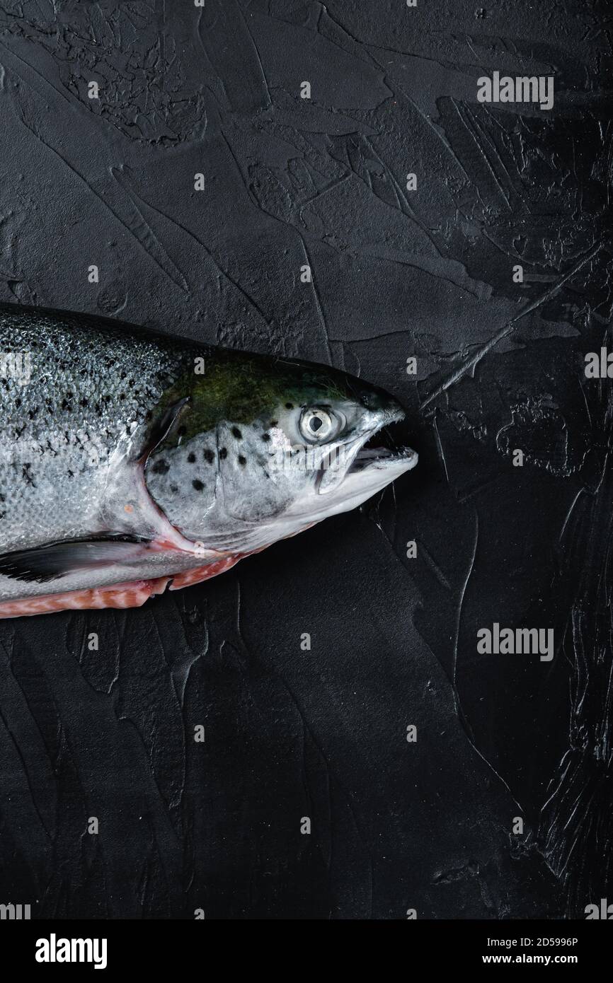Fresh raw salmon red fish fillet on black background, flat lay with ...