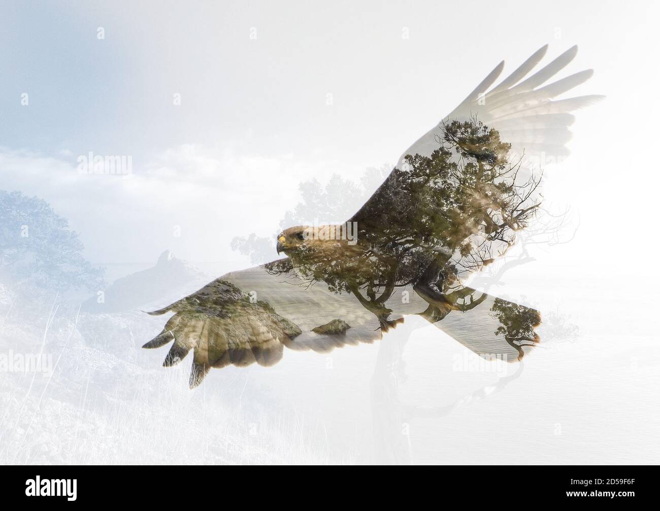 Double exposure wildlife hi-res stock photography and images - Alamy