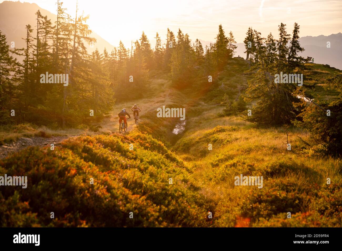 Rear view of two adults mountain biking in mountains at sunrise, Fadstadt, Salzburg, Austria Stock Photo