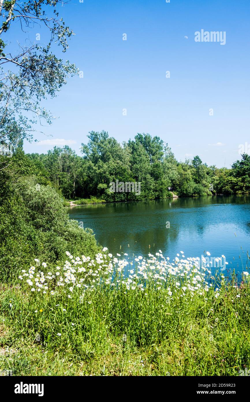 Longton Nature reserve is a haven for wildlife and is near Preston