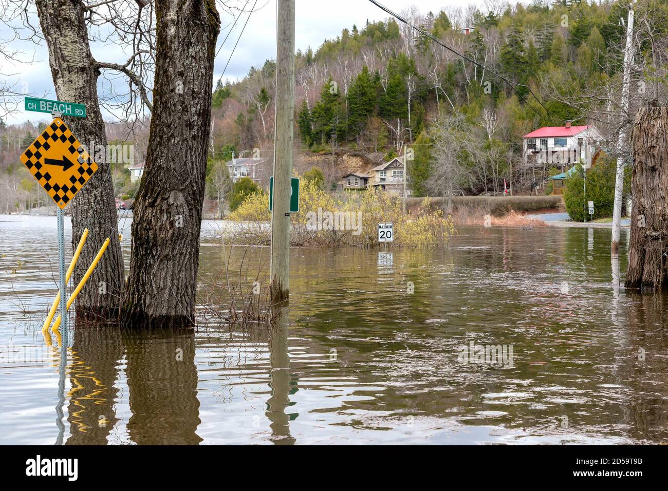 A flooded road. The road is completely flooded. Power poles, trees, and signs are completely surrounded by deep water. Stock Photo